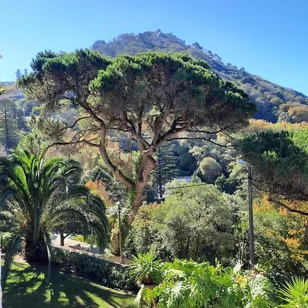 Luxurious Royal Estate In Historic Paradise Sintra