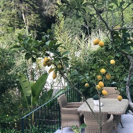 Casa Holstein Quinta De Sao Sebastiao Guest house Sintra