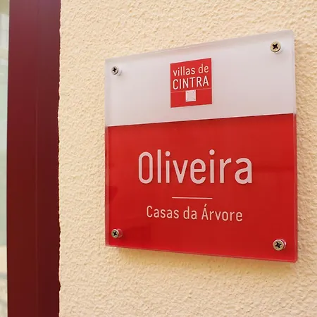 Apartment De Cintra