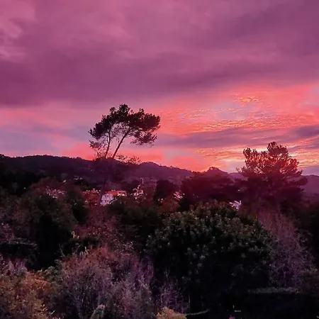 Chalet Hortense - Quiet House In * Sintra