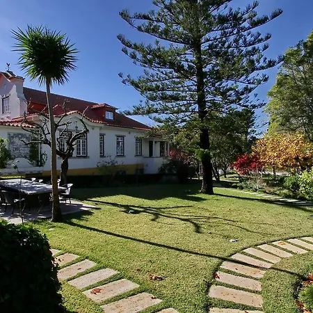 Rosas 4* Sintra