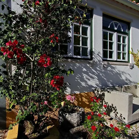 Rosas Sintra