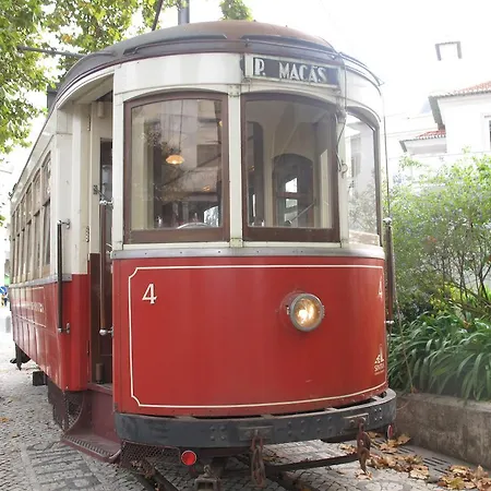 Apartment Tram