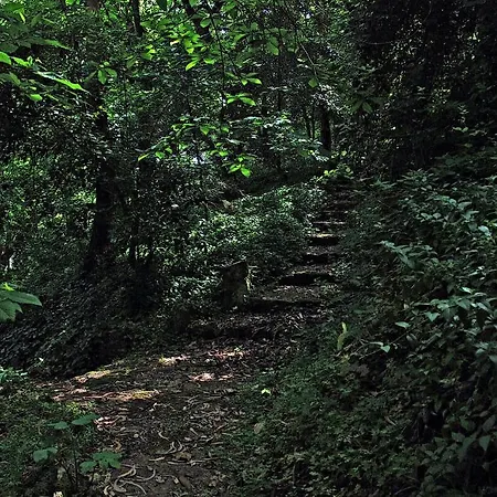 Almaa * Sintra