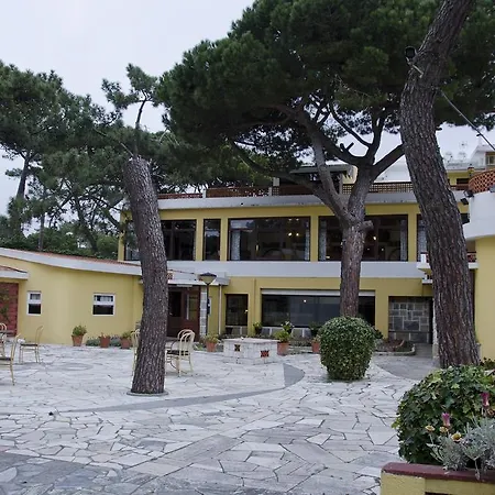 Vip Miramonte