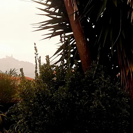 Bed & Breakfast Lugar Saloio *