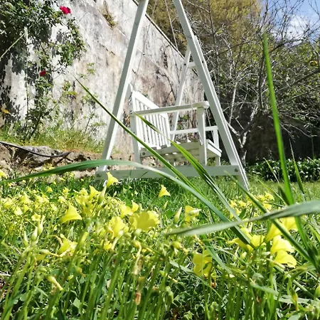 Casa Holstein Quinta De Sao Sebastiao Guest house