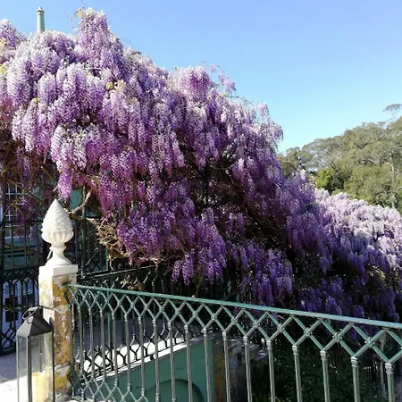 Casa Holstein Quinta De Sao Sebastiao Sintra
