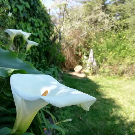 Casa Holstein Quinta De Sao Sebastiao Sintra