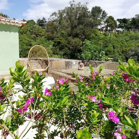 Casa Holstein Quinta De Sao Sebastiao Guest house 3*