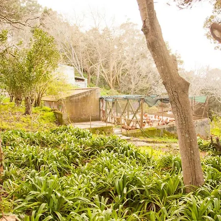 Almaa Albergue Sintra