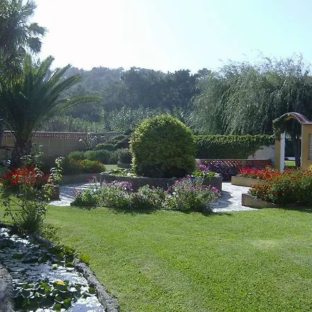 Vip Miramonte 3*