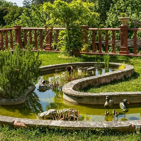 Saudade