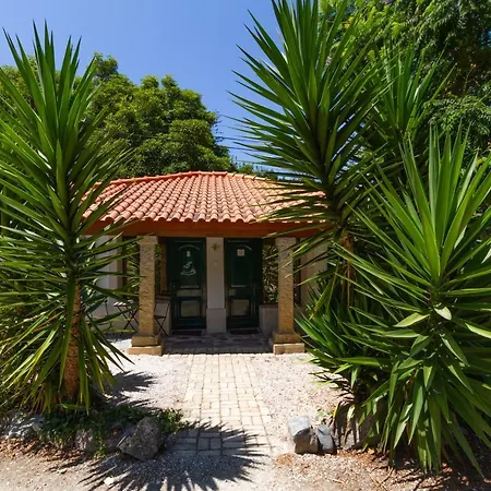 Guest house Quinta Murtas Sintra