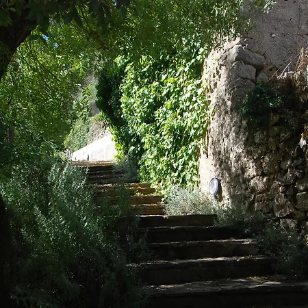 Center Escape To Nature *