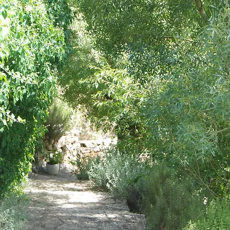 Center Escape To Nature