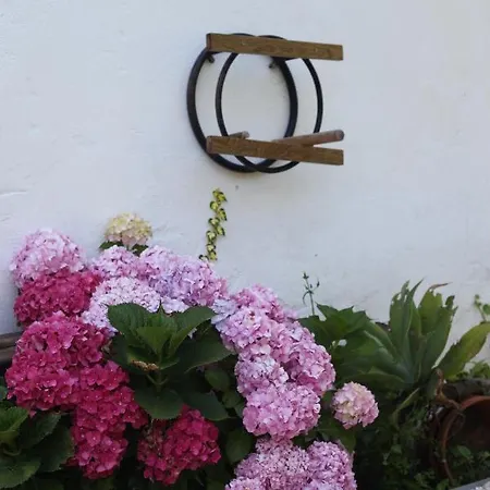 Apartment Ribeira Dos Marinheiros Azul Sintra