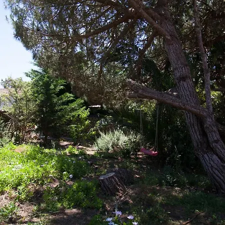 Flh Garden Near Ericeira Sintra