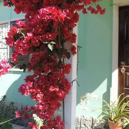 Bliss Boho House
