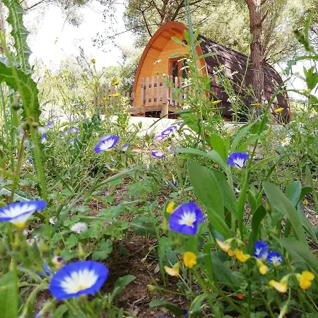 Glamping * Sintra
