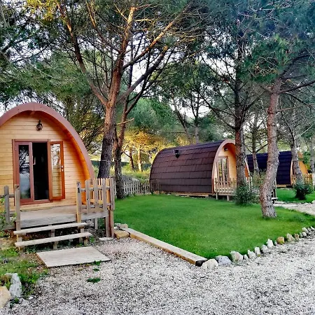 Glamping