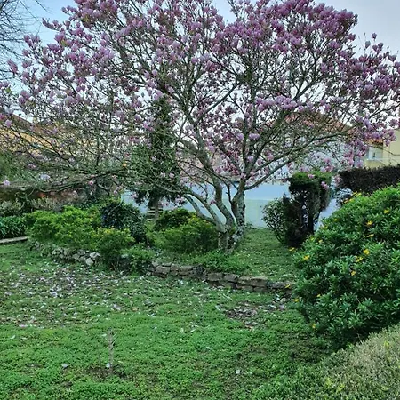 Comfy Bed & Breakfast Sintra