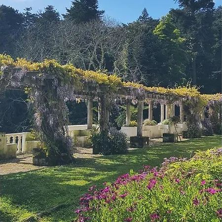 Sequoias Country House With Pool & Private Forest * Sintra