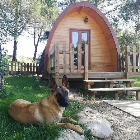Glamping