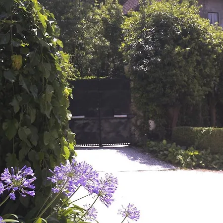 Jardim Sintra