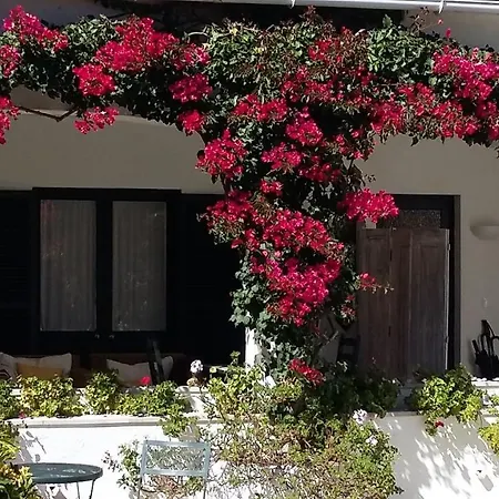 Quinta Colina Flora * Sintra