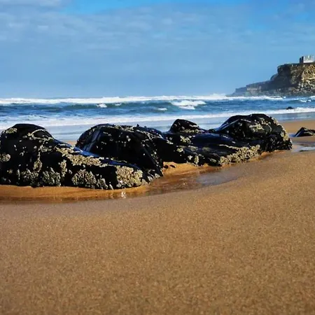 Mega Ocean Magoito - - *