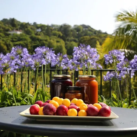 Guest house Casa Do Valle