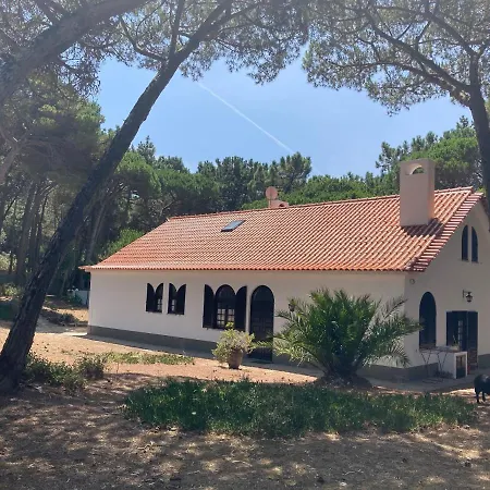 Holiday home Moradia No Pinhal Com Piscina - Espaco E Privacidade As Suas Ferias! *