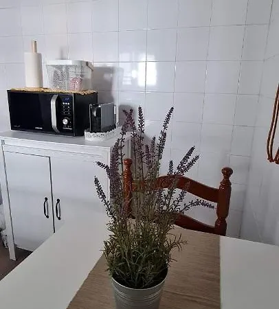 Cantinho Saloio Apartment *