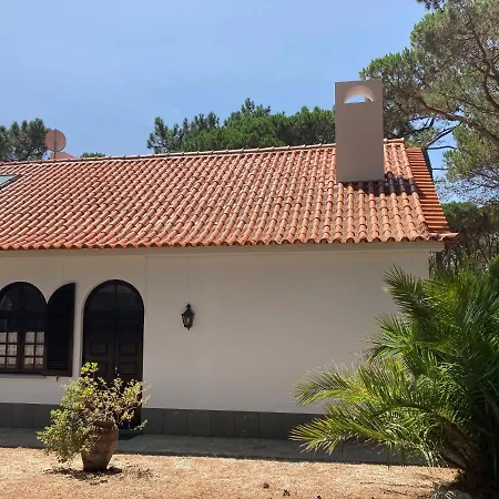 Moradia No Pinhal Com Piscina - Espaco E Privacidade As Suas Ferias! * Sintra