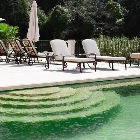 Quinta Da Bella Vista - Historic And Farm