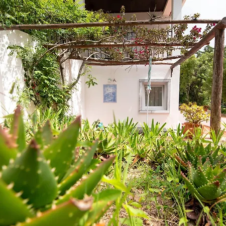 Quinta - Country house Sintra