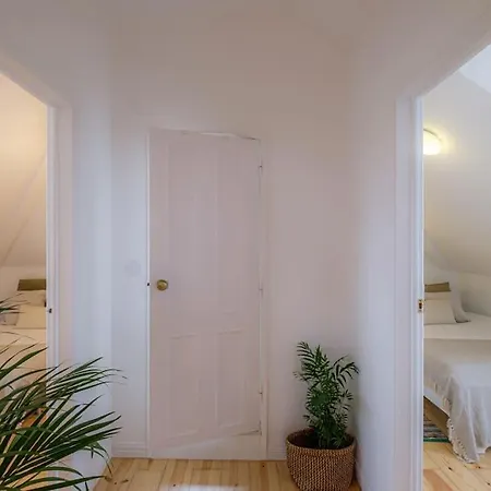 Cozy Apartamento