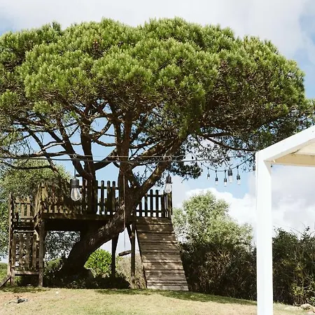 Bed & Breakfast Dreamsea Surf Sintra