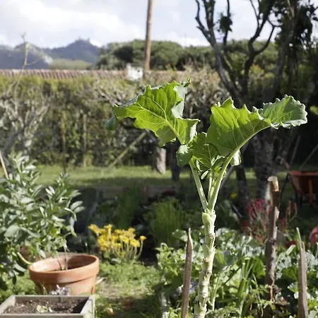 Apartment Farm
