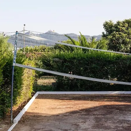 Farm * Sintra