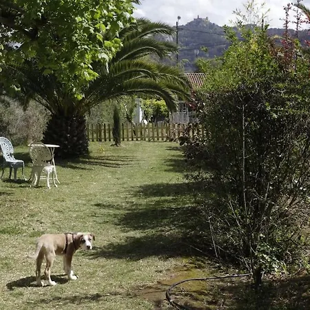 Farm Apartment Sintra