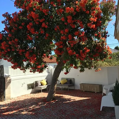 Casa de hóspedes Cosy Sintra
