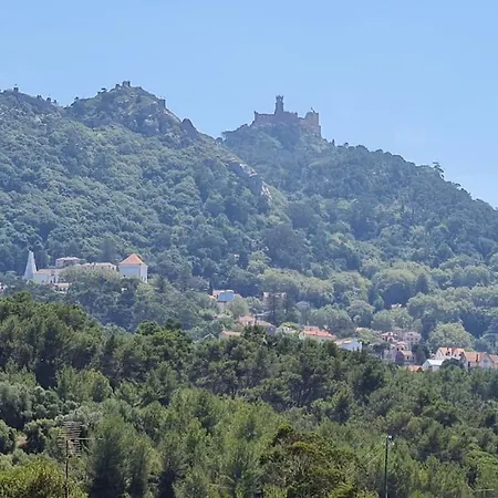 3 Vistas