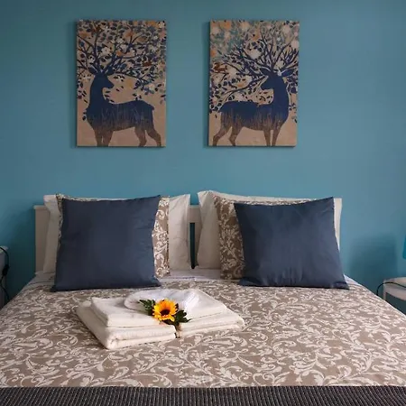 Hotel Flor&fidalgo