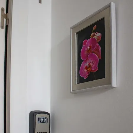 Hotel Flor&fidalgo *