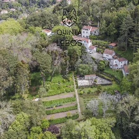 Hotel Quinta Dos Lobos Boutique - Nature Experience Sintra