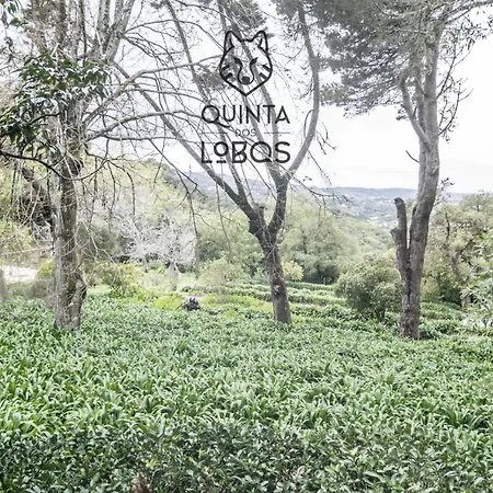 Quinta Dos Lobos Boutique - Nature Experience *