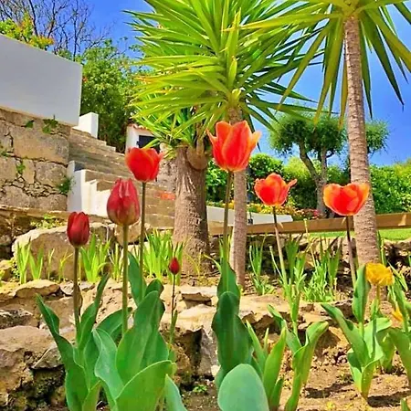 Hibisco - Quinta Casalinho Da Azenha Acomodação com café da manhã 