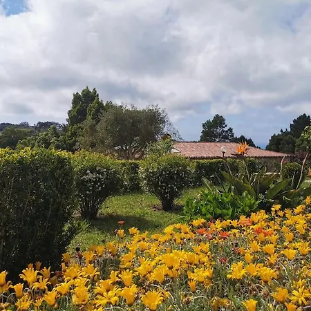 Vitorino Deluxe